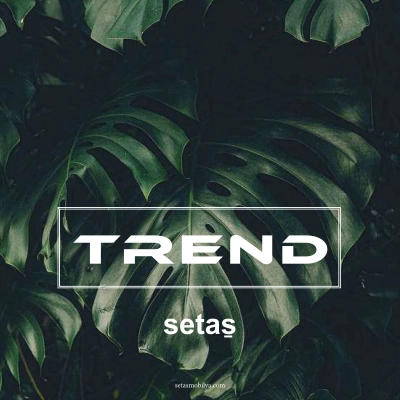 Trend